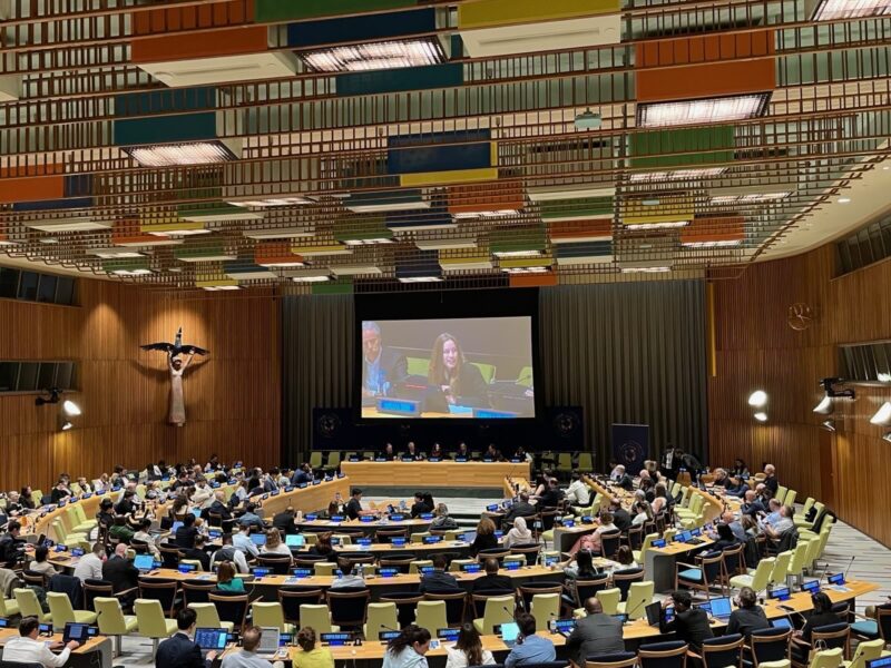 The Trusteeship Council Chamber at UN during the panel. Adriana Groh is projected on the overhead screen.