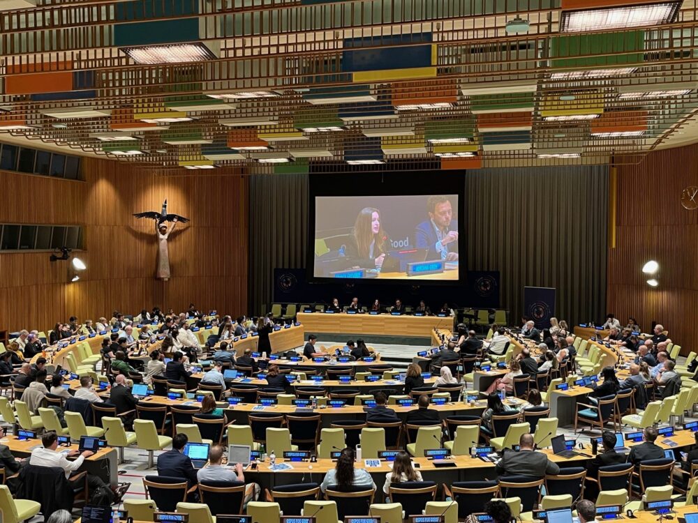 The Trusteeship Council Chamber at UN during the panel